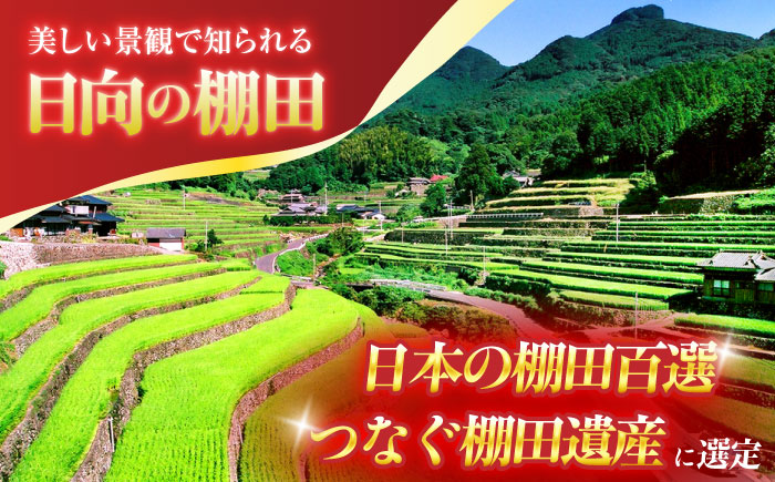 【6回定期便】虚空蔵の清流水で育った棚田米『ひなた米』 10kg (5kg ×2袋) 【木場中山間管理組合】 [OCM054]