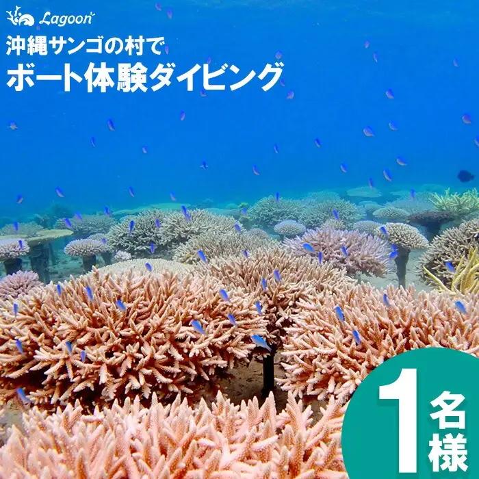 チケット ボート体験 ダイビング 1名 沖縄サンゴの村【恩納村ラグーン】