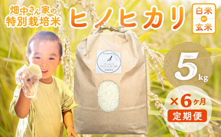  【6回定期便】減農薬 特別栽培米 畑中さん ひのひかり 玄米 5kg ヒノヒカリ 奈良県