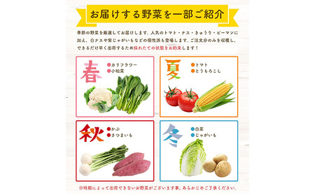 野菜 旬の野菜セット Mサイズ 約8～9種