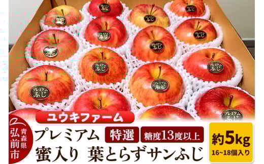 りんご 【 数量限定 】糖度13度以上 「特選」プレミアム 蜜入り 葉とらずサンふじ 約 5kg 16～18個