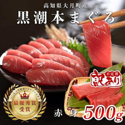 ふるさと納税 大月町 【訳アリ】養殖本マグロ 赤身 500g 黒潮本まぐろ 刺身用 小分け柵 最優秀賞受賞 高知県大月町