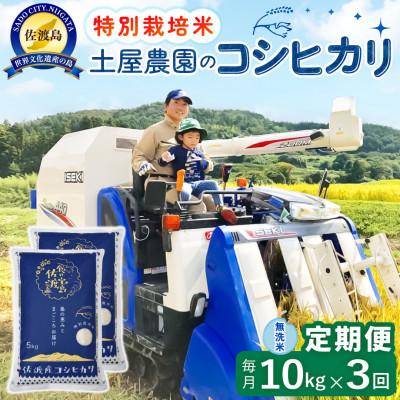 ふるさと納税 佐渡市 【毎月定期便】佐渡島産コシヒカリ 無洗米10kg 土屋農園 農家直送 特別栽培米　全3回