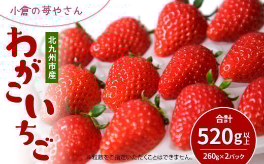 小倉の苺やさん「わがこいちご」260g×2パック 合計520g以上【2026年1月上旬～3月下旬発送予定】福岡県 いちご イチゴ 果物 旬 新鮮 朝摘み 完熟 フルーツ 冷蔵 国産 北九州市産