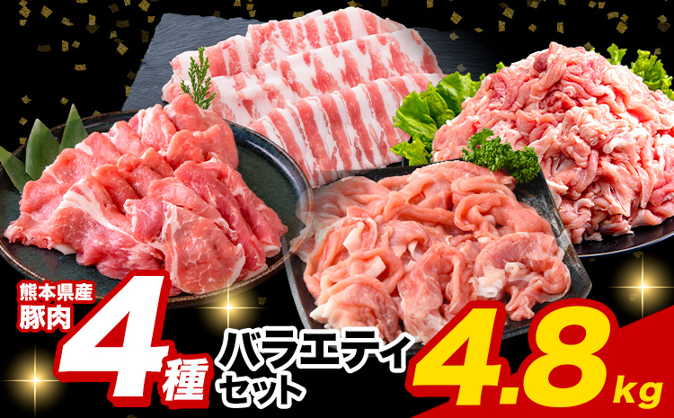 豚肉 ひごの ポーク バラエティ セット 4.8kg 豚肉 しゃぶしゃぶ 切り落とし 豚ロース バラ 豚バラ スライス 以上 真空 お楽しみセット 不揃い 数量限定 簡易包装 冷凍配送 小分け 《1月