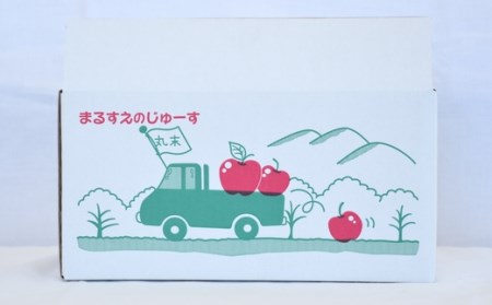 【11ぴきのねこラベル】ストレートジュース180ml・4種10本贅沢セット【丸末農業生産(株)】