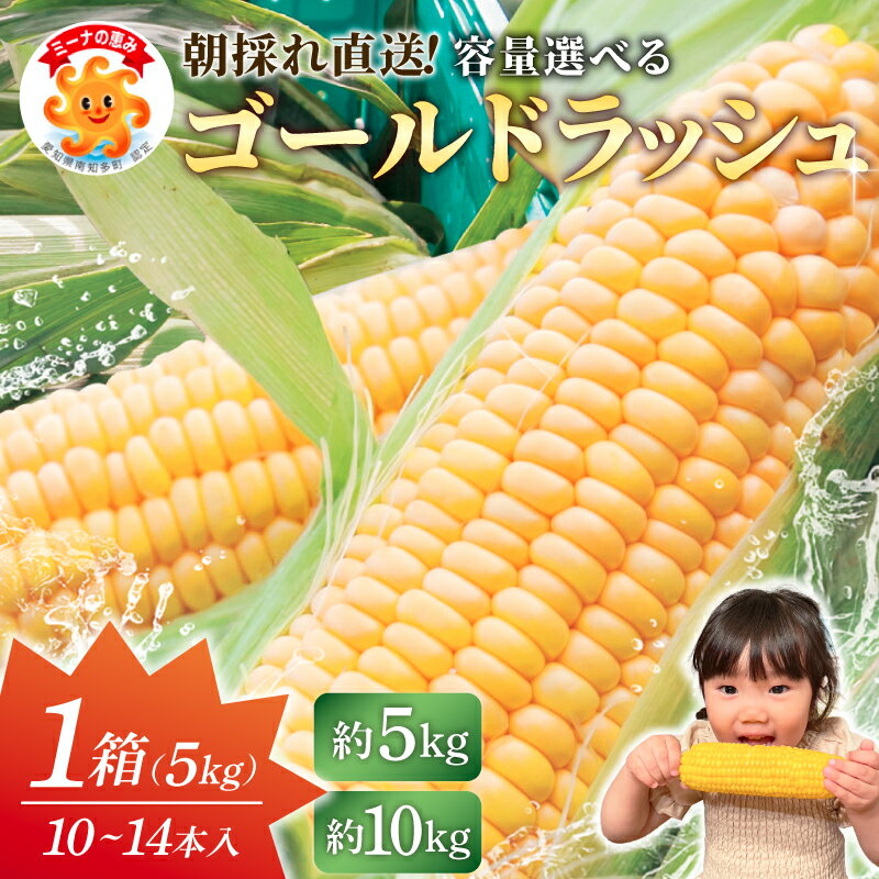 【ふるさと納税】 先行予約 容量選べる スイートコーン 約5kg 10kg 1箱10~14本入り 冷蔵 朝採れ 【6月下旬～7月頃に順次お届け】 ミーナコーン トウモロコシ 国産 期間限定 数量限定 直送 朝採り とうもろこし コーンスープ コーンポタージュ おすすめ とうきび とうもろこし