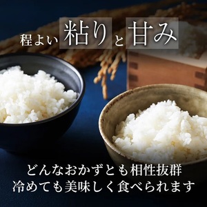 Y492 鳥取県産  ひとめぼれ 令和7年産 精米済 20kg（5kg×4袋）