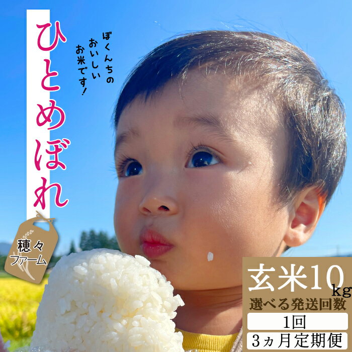 【ふるさと納税】【令和7年度】【先行予約】 ひとめぼれ 玄米 10kg 選べる 発送回数 単発 3ヶ月定期便 ／ 穂々ファーム ご飯 コメ こめ 美味しい 農家直送 飯 美味しい ライス 今年 ごはん めし 国産 東北 岩手県産 雫石町 米 産地直送 送料無料