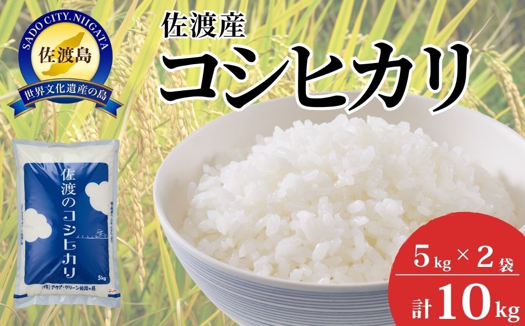 
                  佐渡産コシヒカリ 精米10kg（5kg×2袋）令和8年産 農薬・化学肥料5割減 単一原料米 金北山系の水で栽培 | 新潟県産コシヒカリ 新潟産コシヒカリ 佐渡産コシヒカリ 新潟県産こしひかり 佐渡産こしひかり お米 米 こしひかり 白米 精米 ブランド米 おこめ コメ 10キロ にいがた さど 新潟県 佐渡市
                
