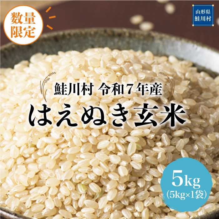 ◇数量限定品◇ ＜令和7年産＞ はえぬき 【玄米】 5kg （5kg×1袋）鮭川村 《配送時期指定可》