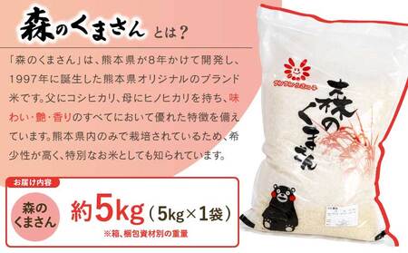 先行予約 令和7年産 精米 新米 森のくまさん 5kg 【2025年11月上旬から発送予定】 JA熊本うき