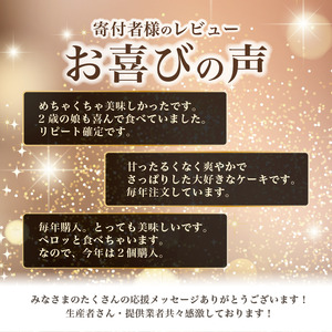 ケーキ 5号 「お誕生日用」山ぶどうWチーズケーキ