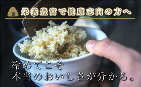 【令和8年産 先行予約】【定期便／全12回】玄米3kg 新潟県魚沼産コシヒカリ「山清水米」