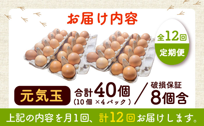 【全12回定期便】平飼い新鮮たまご 元気玉 計40個(10個×4パック) / 卵 ぷりぷり 新鮮 玉子 オムレツ たまごかけごはん 朝食 平飼い 濃厚 こく 熊本県 菊陽町【ぴよっこファーム】 [BH