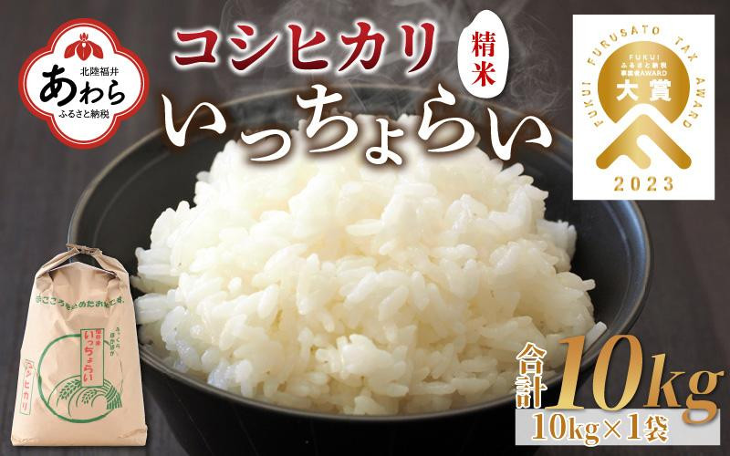 
            【令和6年産新米】【一等米】いっちょらい 精米 10kg×1袋 ／ 福井県産 ブランド米 コシヒカリ ご飯 白米 お米 コメ 新鮮 大賞 受賞 新米 福井県あわら産
          