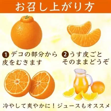 【先行予約】熊本県産 訳あり 不知火 濃厚な甘み!と爽やかな酸味! デコみかん 約5kg(益城町)【1726340】