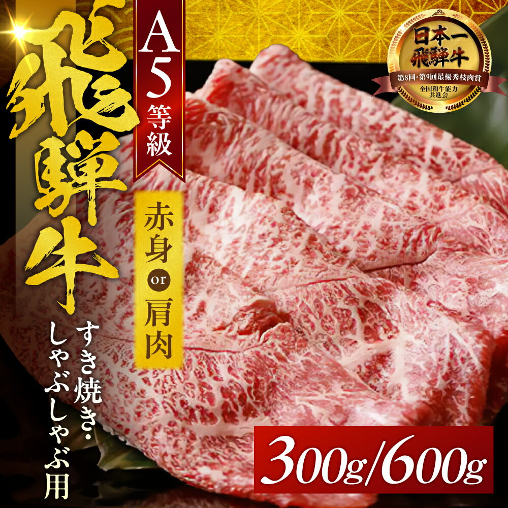 【ふるさと納税】 A5 飛騨牛 すき焼き / しゃぶしゃぶ 赤身モモ肉 / 肩肉 300g〜600g 食べ比べ 赤身 霜降り 飛騨牛 牛肉 肉 黒毛和牛 希少部位 国産 厳選 ブランド牛 人気 ランキング お取り寄せ 高級 岐阜県 大垣市