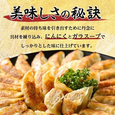 ふるさと納税 大和高田市 鉄人餃子　300個(30個×10袋) |  | 02
