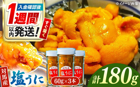 【1週間以内発送】対馬産 塩うに 60g×3本 [WAA001] 塩ウニ 雲丹 紫ウニ スピード発送 最速発送 最短発送