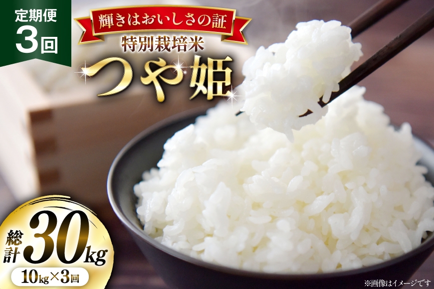 
                  米 定期便 3回 令和7年産 特別栽培米 つや姫 10kg (5kg×2) [本田勇仁 山形県 高畠町 tk06bgj910007] お米 白米 精米 ごはん ご飯 ブランド米 
                