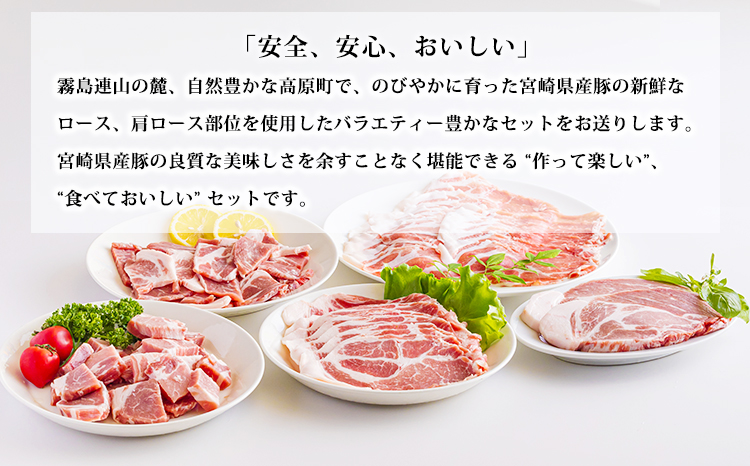 おいしさ満喫　高原育ちの宮崎県産豚肉5種バラエティーセット1.5kg 　TF0779