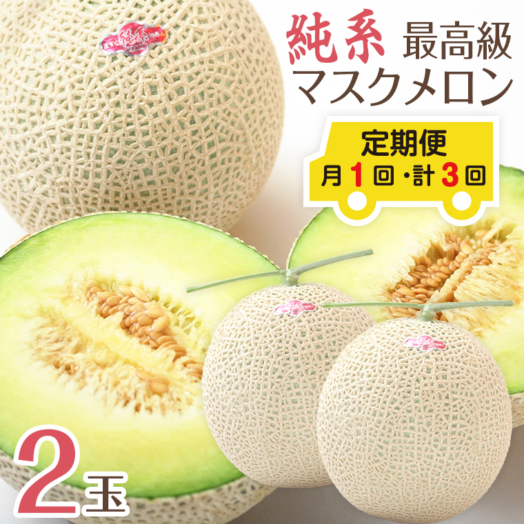 E-15251101z 【定期便３ヶ月】純系マスクメロン２玉【最高級】：2025年１１月～2026年１月発送分