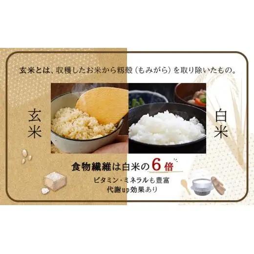 令和7年産！ファーム坂口の特別栽培米 ななつぼし玄米 10kg (5kg×2袋)