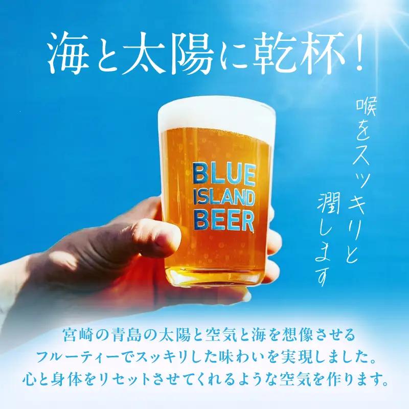 青島サーフエール12本セット 地ビール 酒 アルコール