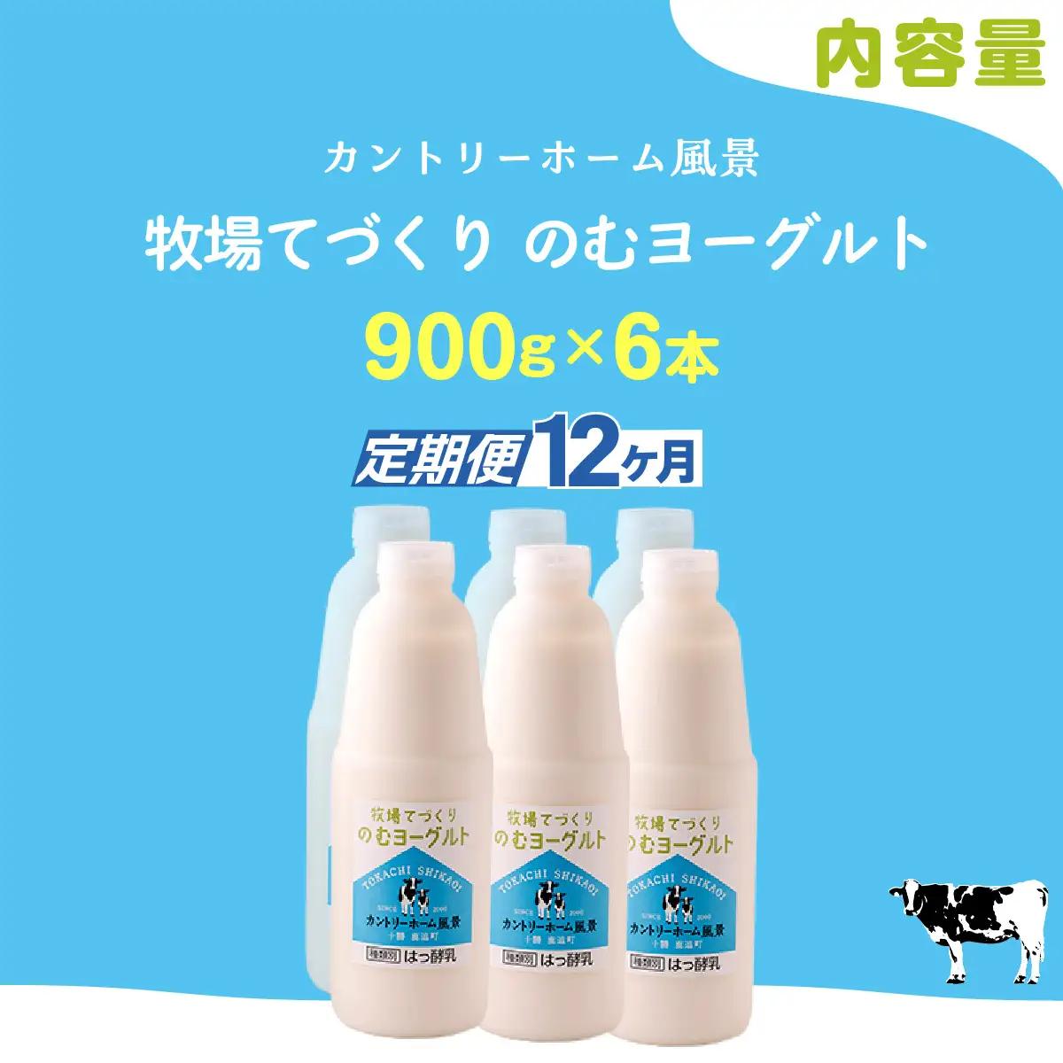 【定期12ヶ月】のむヨーグルト 900g ×6 SKB042