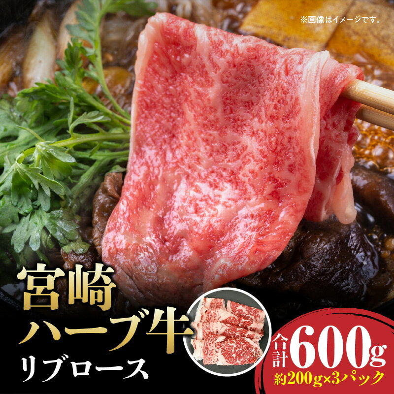 【ふるさと納税】宮崎ハーブ牛 リブロース 2mm スライス 合計600g 牛肉 肉 お肉 精肉 スライス肉 ハーブ牛 国産牛 ブランド牛 リブローススライス 薄切り 小分け パック 真空パック 冷凍 冷凍パック 普段使い 使い勝手 グルメ お取り寄せ 宮崎県 宮崎市 送料無料