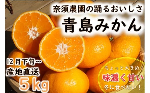 【期間限定発送】踊るおいしさ！味濃く甘い！青島みかん(2L) 5kg [奈須農園 宮崎県 日向市 452060175] 果物 フルーツ 柑橘 みかん ミカン 