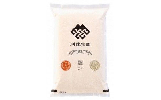 ＜発送月固定定期便＞はえぬき(玄米) 5kg 山形県産全6回【4091169】