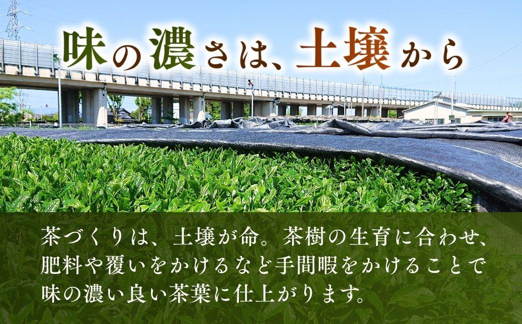 ほうじ茶 抹茶入り玄米茶 ティーバッグ 4袋セット(各2袋) | お茶 おちゃ 茶 ティーバッグ てぃーばっぐ ほうじ茶 ほうじちゃ 焙じ茶 玄米茶 げんまいちゃ 狭山茶 さやまちゃ 茶葉 国産 浅見
