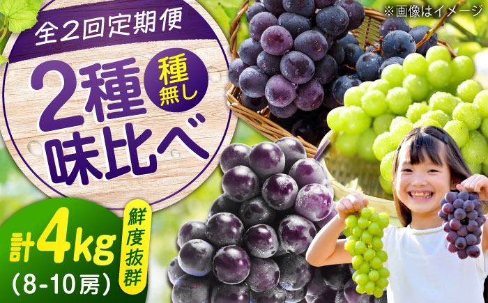 
                  【全2回定期便】ピオーネ マスカット 各2kg（計2種）沼隈ぶどう定期便 広島県福山市/福山市農業協同組合 沼隈グリーンセンター ぶどう ブドウ 葡萄 シャインマスカット マスカット 種なし 大粒 [BAEV014]
                