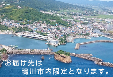 【鴨川市内限定】見守り訪問サービス『Yakult（ヤクルト）1000』７本×15週間　[0050-0085]