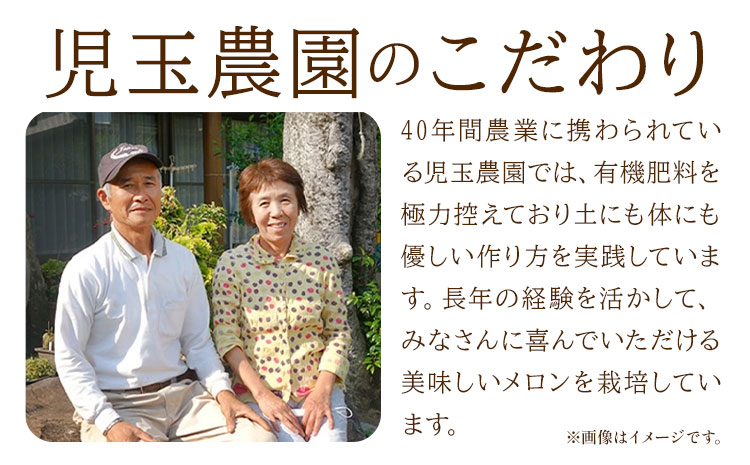 【先行予約】肥後グリーンメロン 4玉 児玉農園 1玉(1.8kg以上)《5月上旬-5月末頃出荷》メロン グリーンメロン 熊本県 玉東町 フルーツ 果物