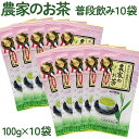 【ふるさと納税】袖ケ浦産日本茶 農家のお茶 普段飲み10袋｜お茶 緑茶 千葉 [0234]