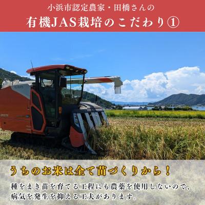 ふるさと納税 小浜市 福井県産こしひかり　JAS有機米　玄米　10kg　 |  | 01