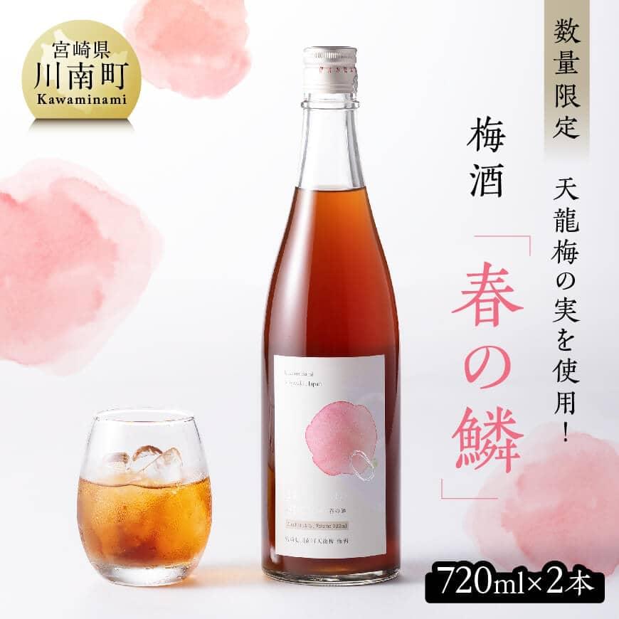 【数量限定】天龍梅の実を使用！オリジナル梅酒「春の鱗」（720ml×2本） お酒 アルコール 酒 梅酒