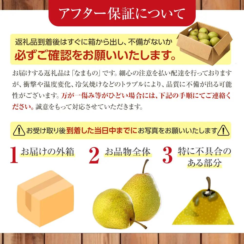 【先行予約】旭川産千両梨4kg(2026年10月中旬発送開始) 梨 _05721