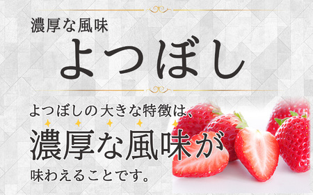 【先行予約】Linda Lindo BERRY 2Lサイズ 12粒x2 計24粒（2027年1月中旬ころより順次発送予定） | いちご かおり野 よつぼし 深紅の美鈴