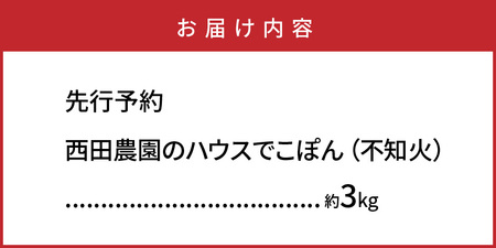 1272R_【先行予約】西田農園のハウスでこぽん(不知火)約3kg