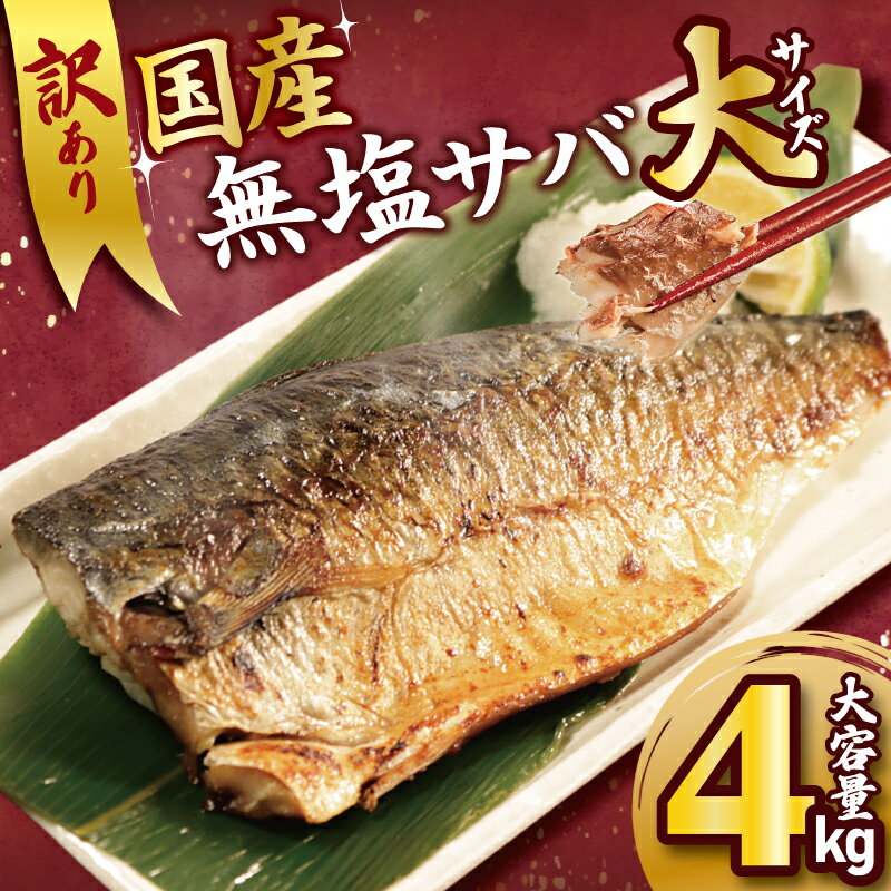 【ふるさと納税】 訳あり 国産 無塩 サバ 4kg 大サイズ 1枚170g さば サバ 鯖 魚 海鮮 魚介類 フィレ 切身 無塩 不揃い 規格外 傷 小分け おかず おつまみ 人気 グルメ お取り寄せ 大きめ ふるさと納税 ふるさと納税さば ふるさと納税鯖 冷凍 送料無料 千葉県 銚子市 大國屋