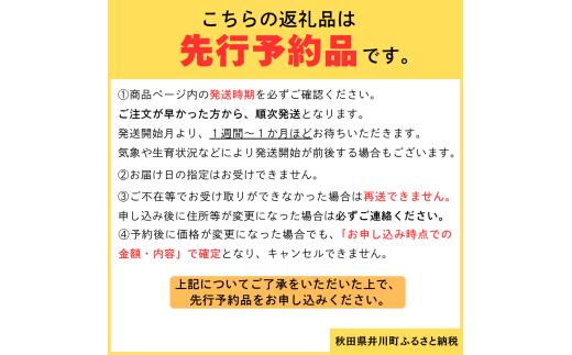 【ふるさと納税】親がだのキムチ 300g 白菜キムチ 秋田県 井川町産 白菜 使用 キムチ 【※予約 12月発送】