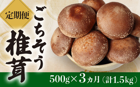 【定期便3ヶ月】ごちそう菌床生椎茸 500g (計1.5kg) 定期 野菜 きのこ しいたけ 岩手県 金ケ崎