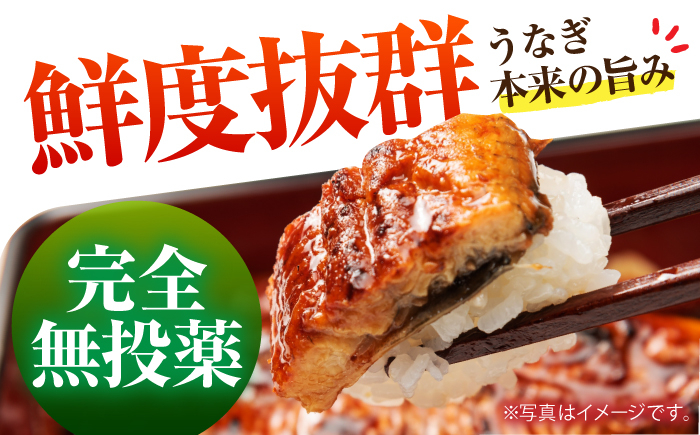 うなぎ ウナギ 鰻 炭火焼 手焼き ひつまぶし 土用の丑の日