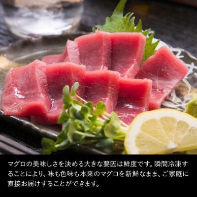 ふるさと納税 津久見市 本まぐろお刺身用赤身5人前(800g) |  | 03