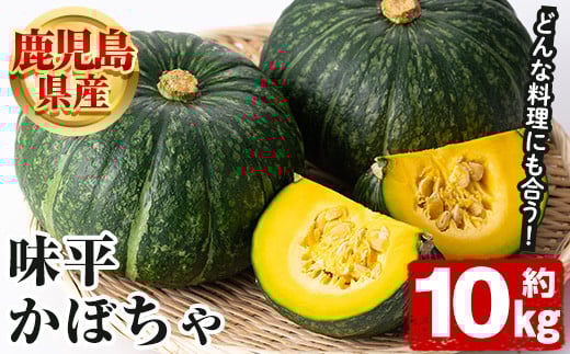 鹿児島県産 味平かぼちゃ(約10kg) 国産 野菜 かぼちゃ カボチャ 南瓜 煮物 天ぷら バーベキュー BBQ スイーツ お菓子【松永青果】akn053-32