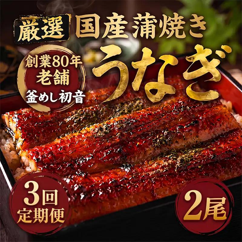 【初音】【3回定期便】厳選国産うなぎ 蒲焼き約190g×2尾 ＼ 秘伝のたれ うなぎ ／